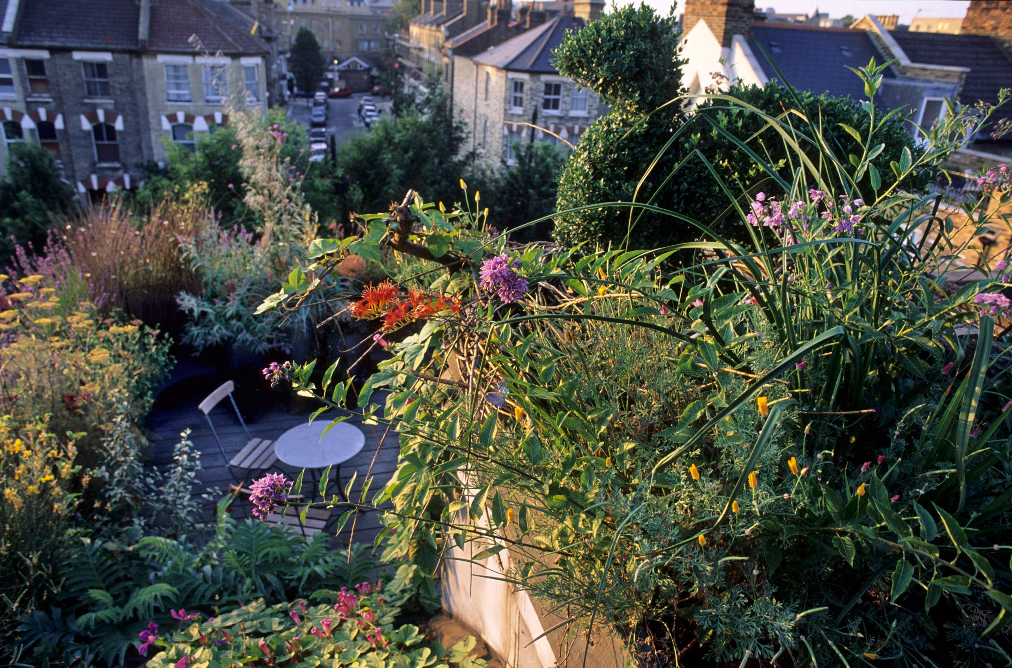 Bonnington Square Dan Pearson Studio